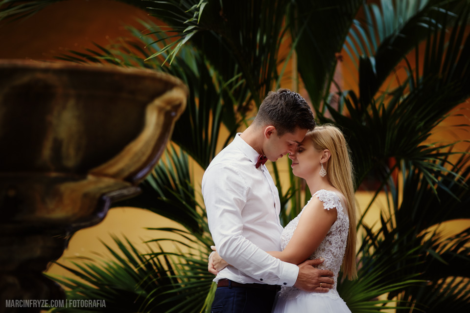 Teneryfa zdjęcia ślubne Sesja ślubna na Teneryfie | Teneryfa zdjęcia ślubne